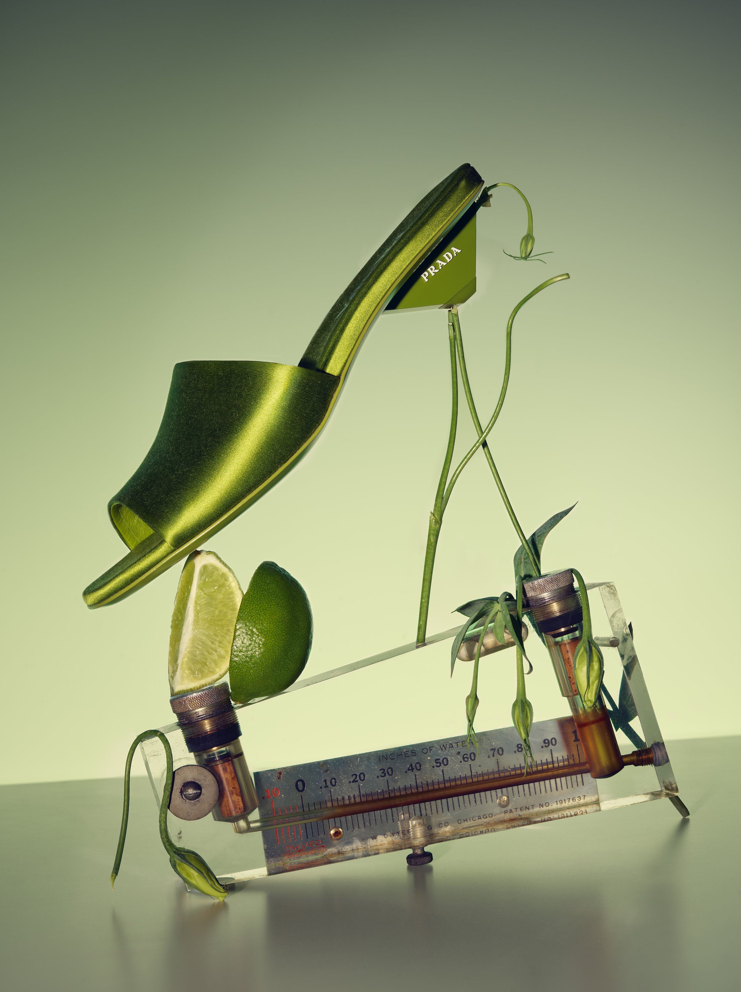 Still Life l Props — Whitney Alexandra